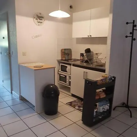 Tt Confort Dans Avec Piscine * San-Nicolao