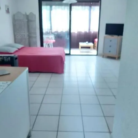 Tt Confort Dans Avec Piscine * San-Nicolao
